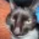 Артем Лойко's avatar